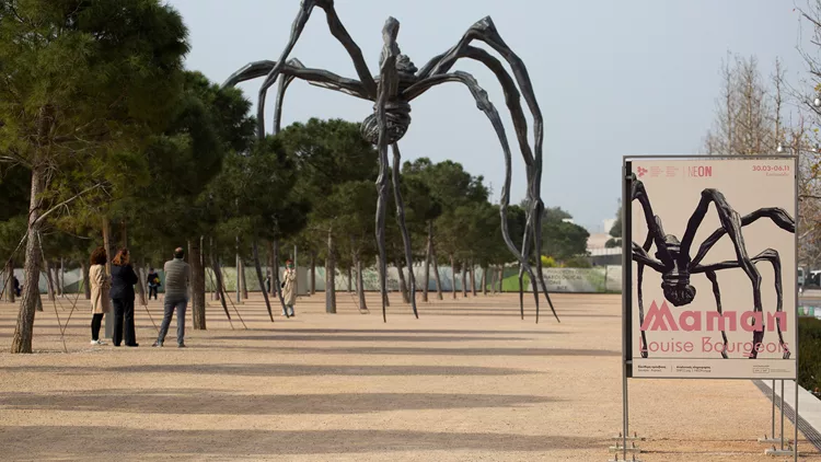 Το γιγαντιαίο αρθρόποδο της Louise Bourgeois στο ΚΠΙΣΝ.
