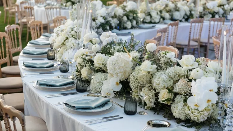 mpegnis catering