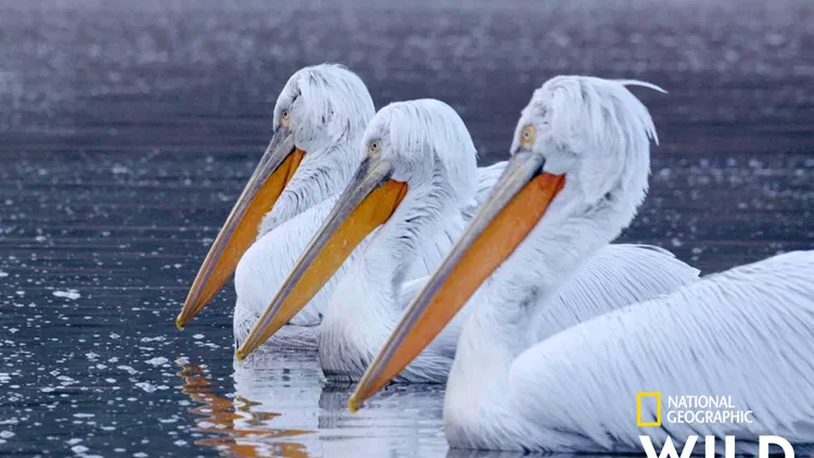 Κρυμμένα Θαύματα της Ευρώπης