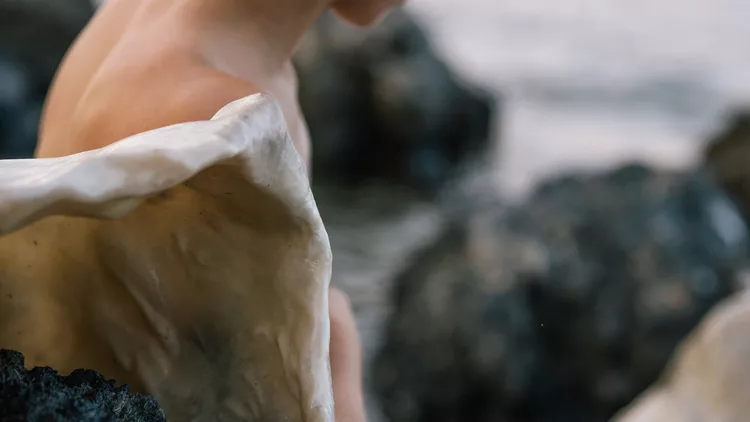 Ileana Arnaoutou & Ismene King, Tender shell geophilia (detail)