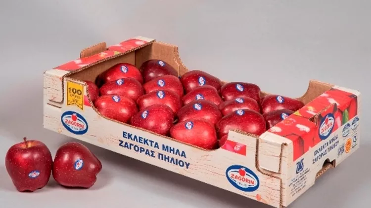 Long read: Το χειμωνιάτικο Πήλιο της Ελένης Ψυχούλη | που θα φάτε παραδοσιακά στα τουριστικά και μη χωριά - εικόνα 13