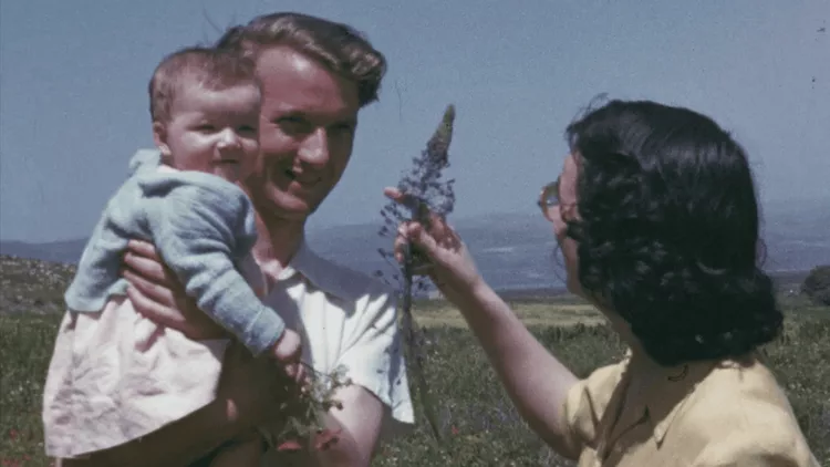 The Flowers Stand Silently Witnessing