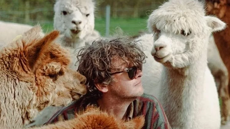 Bill Ryder-Jones