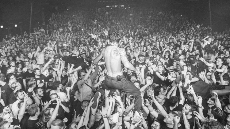 While She Sleeps