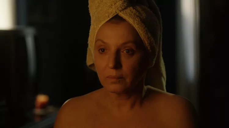 The Good Wife