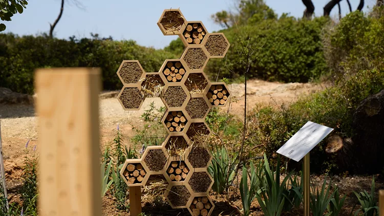 Sani Resort_Bee Spot