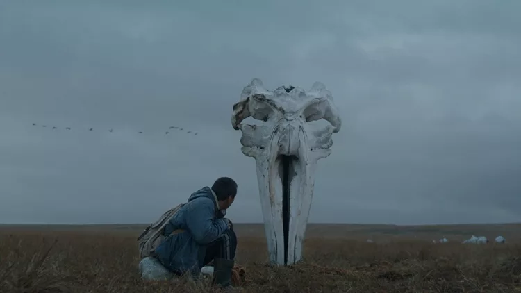 The Whaler Boy / Το Ταξίδι της Φάλαινας