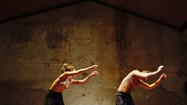 NATURA MORTA (a dance less)
