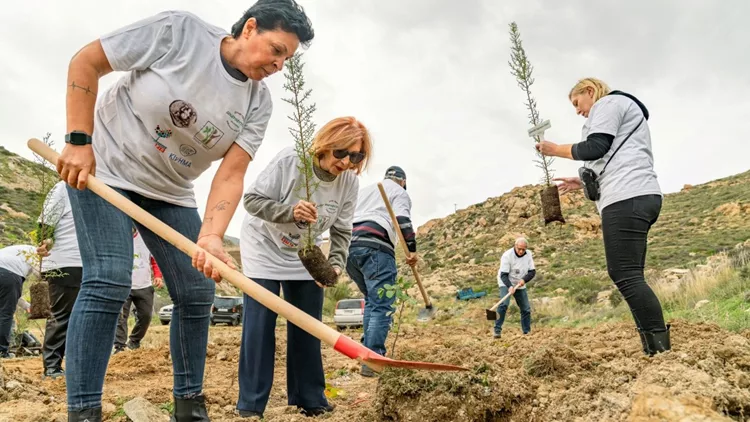 Σέριφος δενδροφύτευση