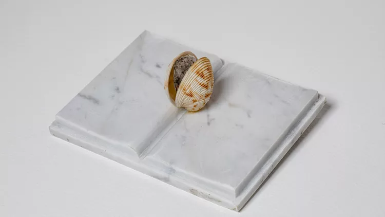 A book is a shell, 1993 Marble, shell, paper