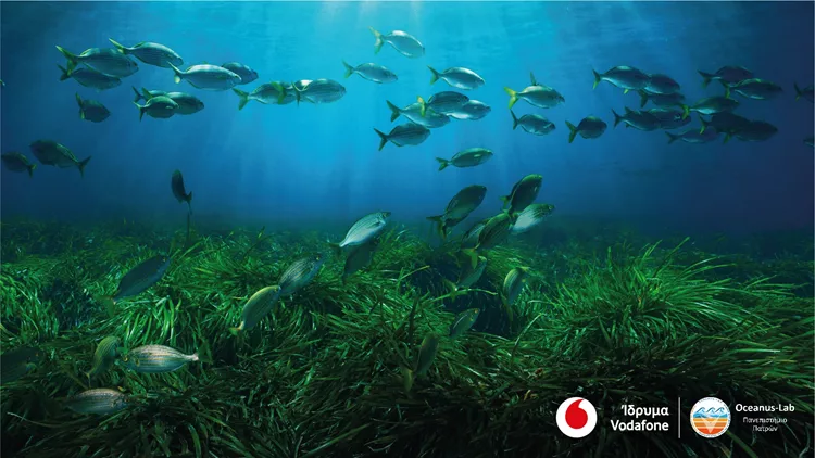 Vodafone Posidonia