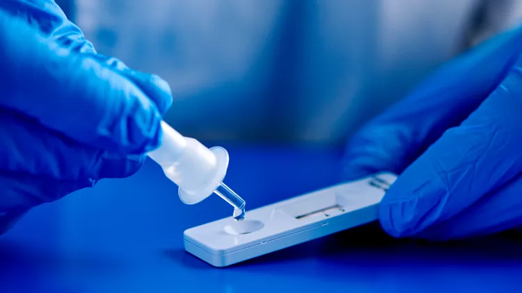 Rapid Test