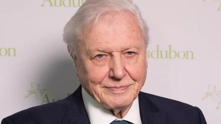 sir_david_attenborough_ksana