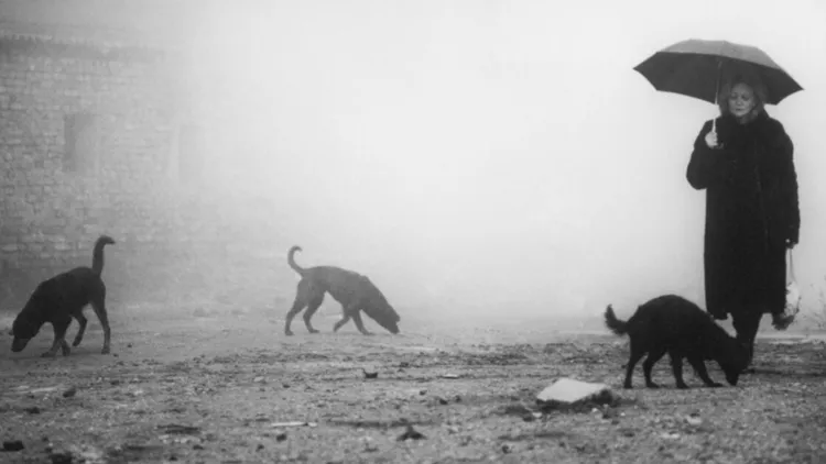 Κολαστήριο 7