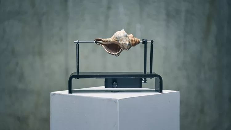 Έκθεση Plasmata 3_Moritz Simon Geist _Hard Times