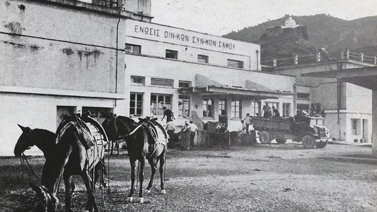 Οινοποιητικός Συνεταιρισμός Σάμου