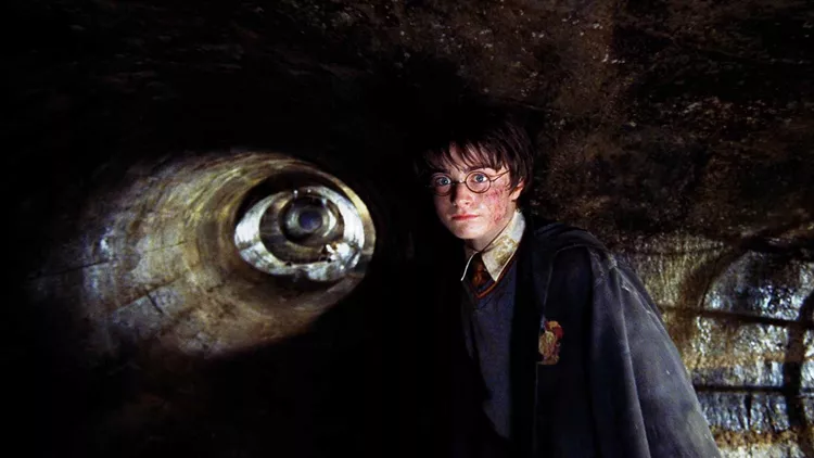 Harry Potter