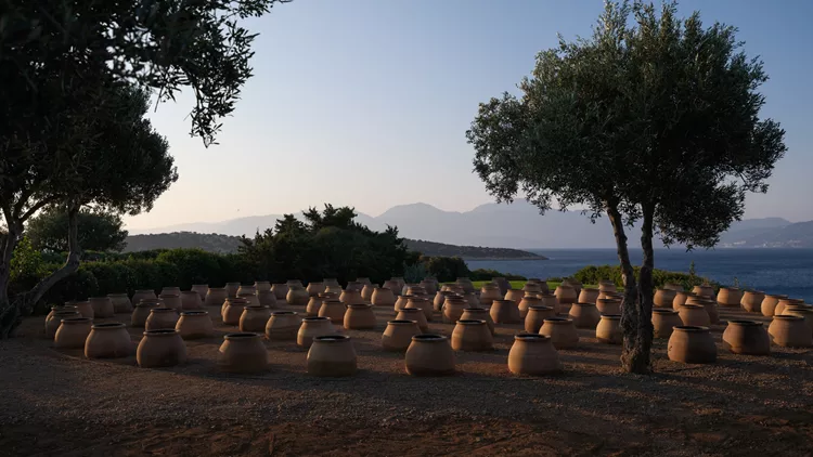 Βραβείο Τέχνης Ίδρυμα Μαμιδάκη 2026