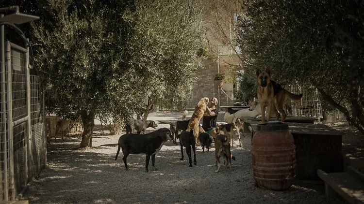Τάκης.