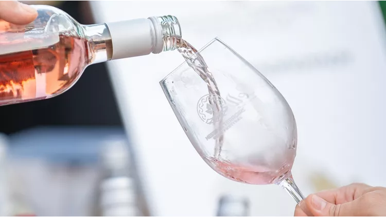 MESSINIA TERROIRS