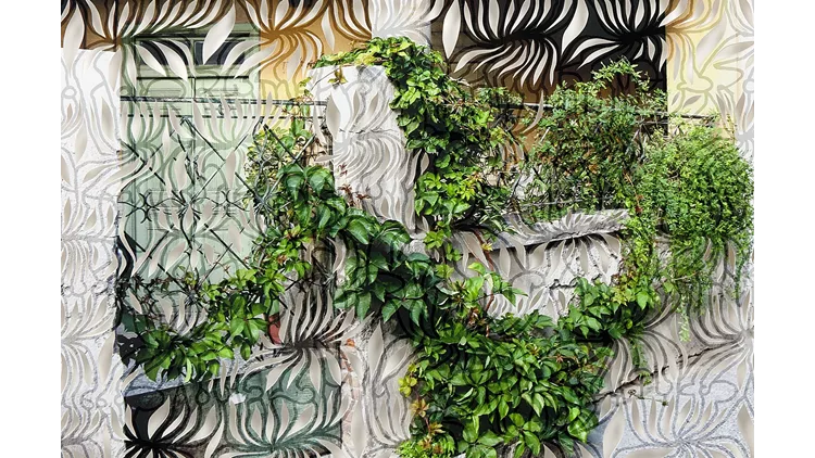 Μαρία Οικονομοπούλου All Included