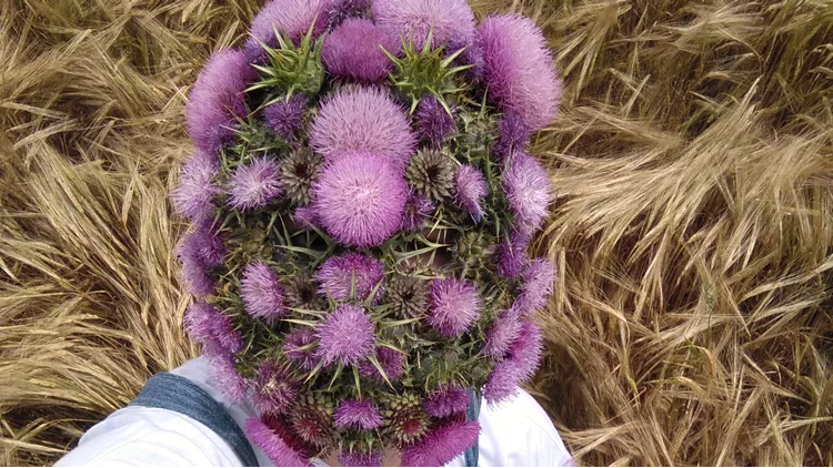 Μάσκα από γαιδουράνγκαθα, 2020 Φώτιος Μπάλας