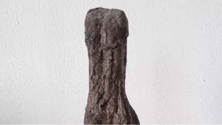 Torso, 1960, μπρούτζος