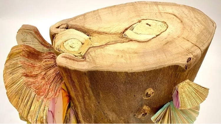 Χριστίνα Μήτρεντσε The Wood Wide Web