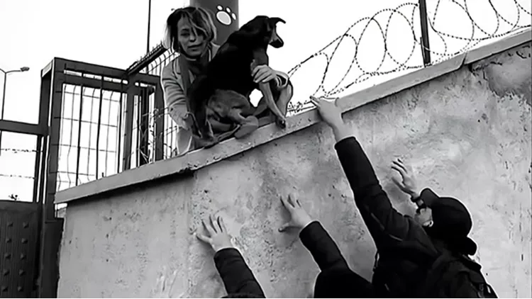 «The Rescue of Firuze», Collective, 2024. Φωτογραφία