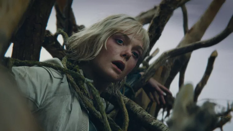 Κυνηγός: Επικίνδυνη Ζώνη 1