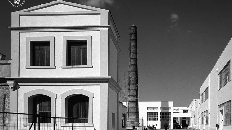 Ανώτατη Σχολή Καλών Τεχνών