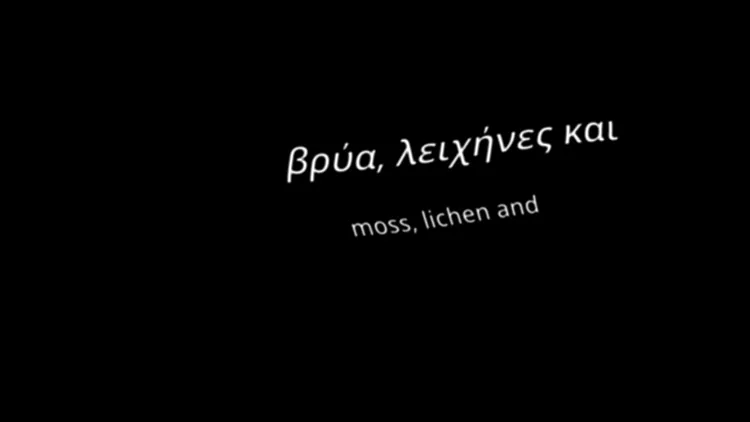 Νίκος Αρβανίτης ένας τέλειος κόσµος