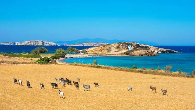 Παραλία στους Λειψούς