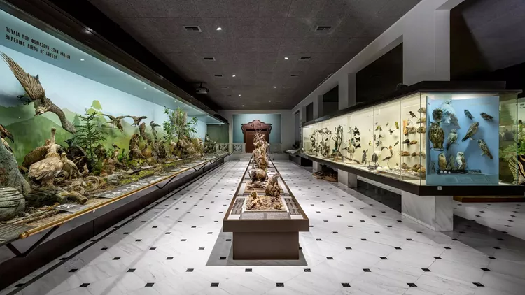 Δωρεάν στο Εθνικό Μουσείο Φυσικής Ιστορίας Γουλανδρή, το πρώτο Σάββατο του μήνα