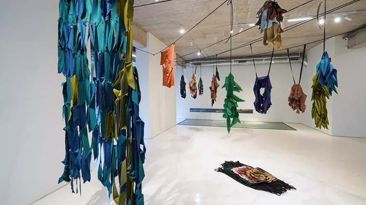 Θαλασσόκαμπος