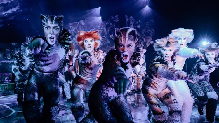 Cats Christmas Theater