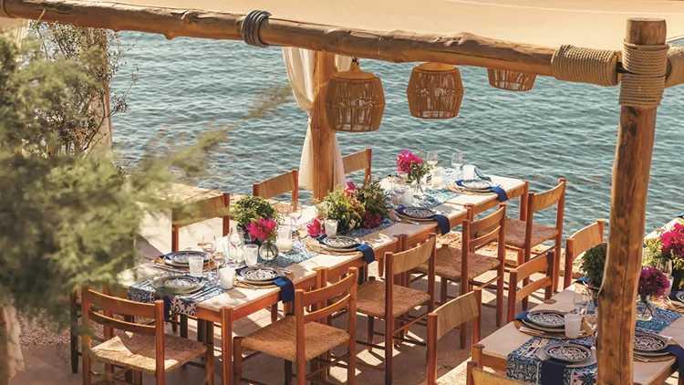 taverna 37