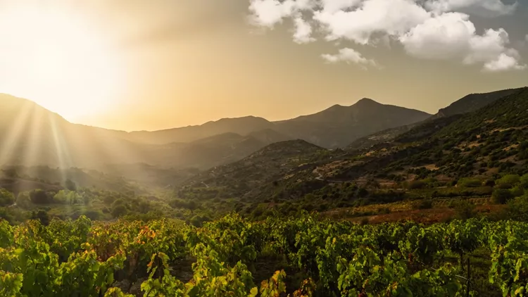 Λένε πως αυτή η περιοχή είναι η 'Τοσκάνη της Ελλάδας'