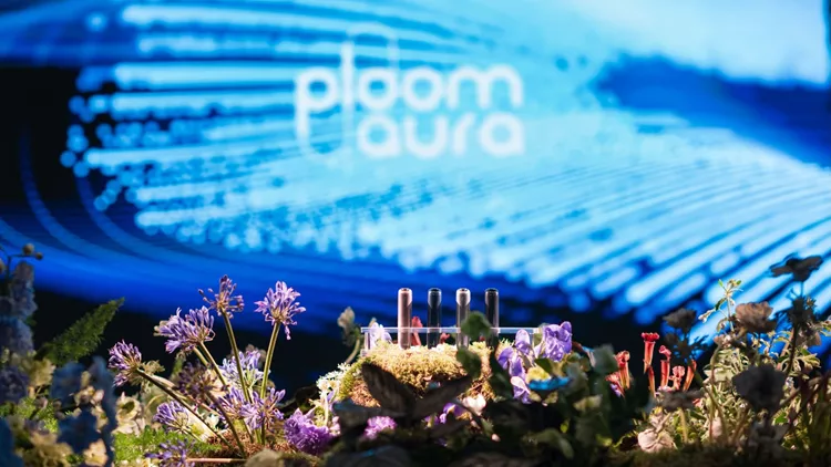 Ploom AURA