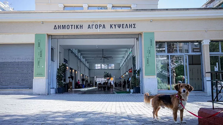 Ιούλιος στη Δημοτική Αγορά Κυψέλης
