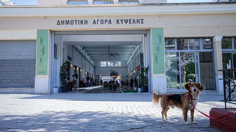 Ιούλιος στη Δημοτική Αγορά Κυψέλης