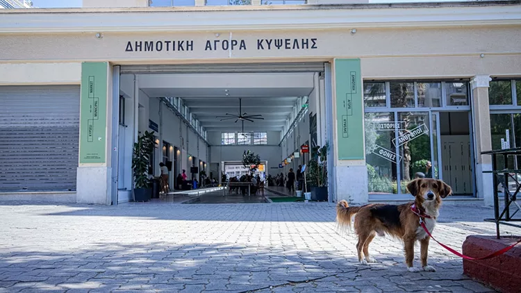 Ιούλιος στη Δημοτική Αγορά Κυψέλης