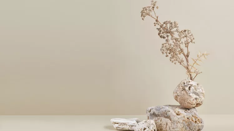 ikebana