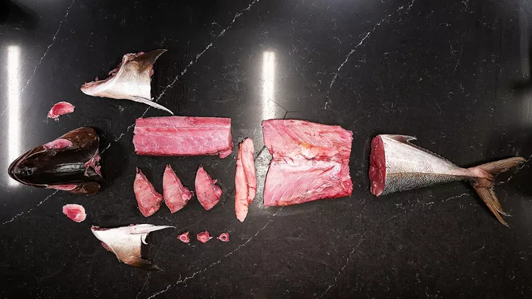 Η επόμενη πίστα του 'Βασίλαινας'