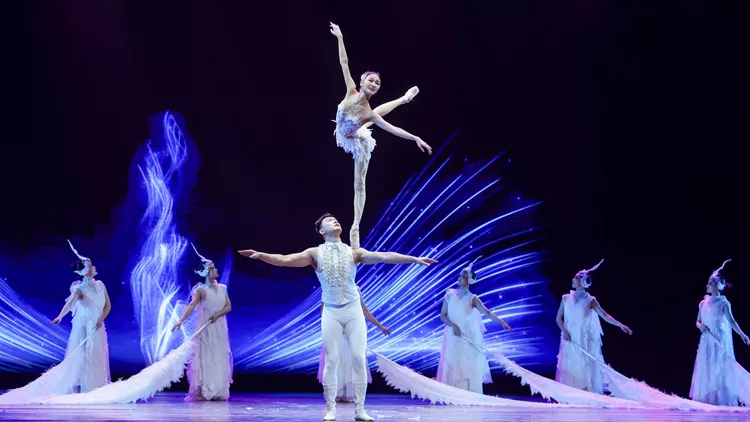 Flying Fairy Chinese Acrobatic Show