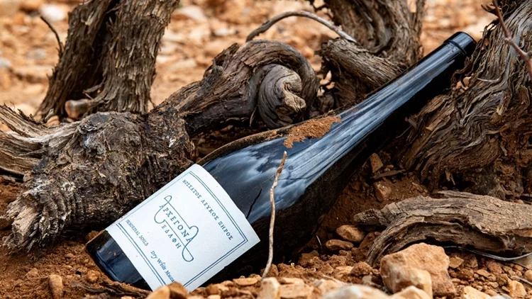 Tα 'Αρχέγονα Εδάφη' ανάμεσα στα 50 Καλύτερα Κρασιά της Χρονιάς, σύμφωνα με το Wine Trails