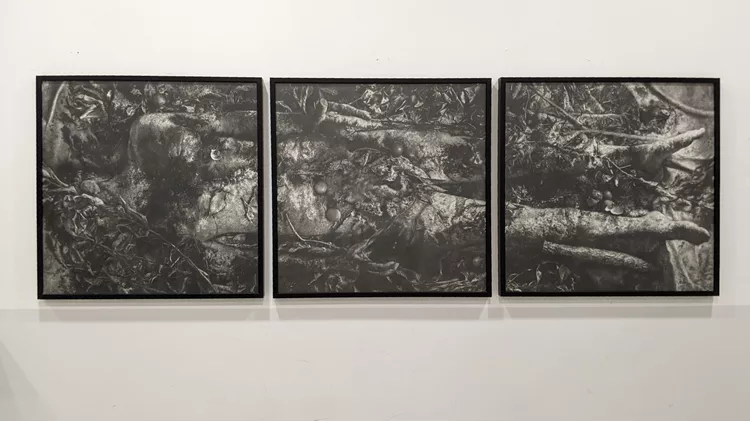 Home My nest my noose