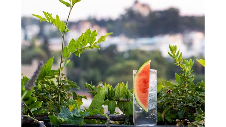 The Foundry Rooftop Garden