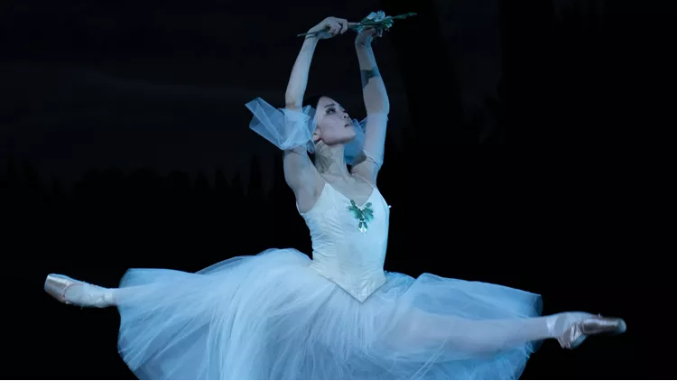 black swan