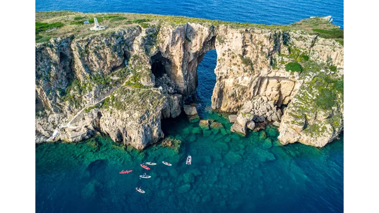 Navarino Challenge 2024